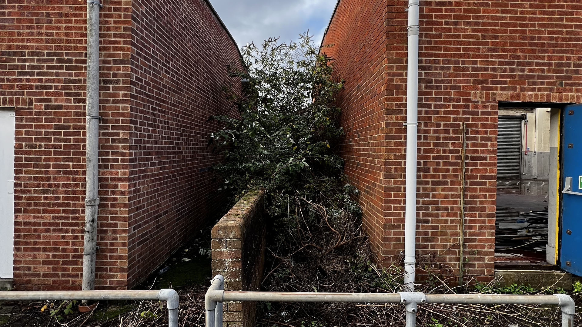 Who Should You Contact First — The Council, a Surveyor, or Your Neighbour Wimbledon?
