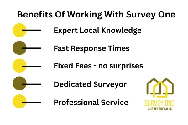 Benefits Of Working With Survey One Wimbledon